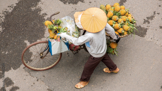 bike full of pineapples