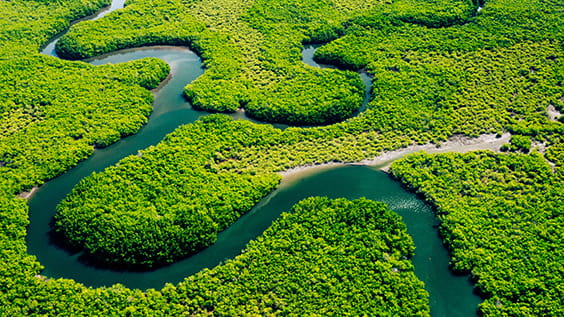 Ecosystem and Healthy Environment. Concepts and Nature Background. Tropical Rainforest. Aerial Top View.