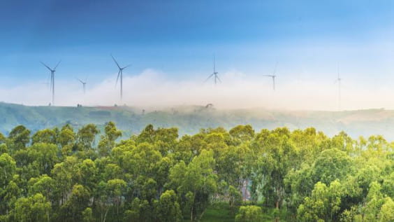 Forrest and windmills in the background