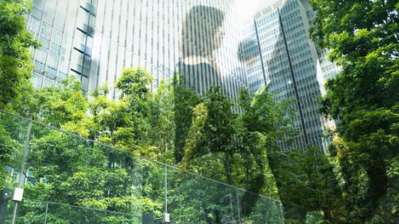 Small park with trees in front of office buildings